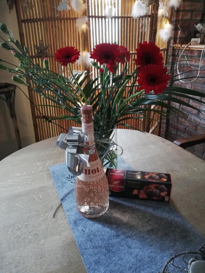 Lesse En Ciel Vous Accueille Avec Plaisir . Villa Houyet Luaran gambar